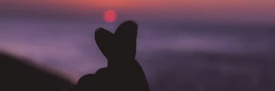 Diegonicacio12's profile banner image