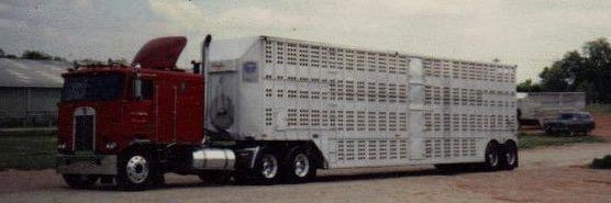 may be danielle 💻🚛🇺🇸's banner