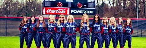 Southside Softball banner