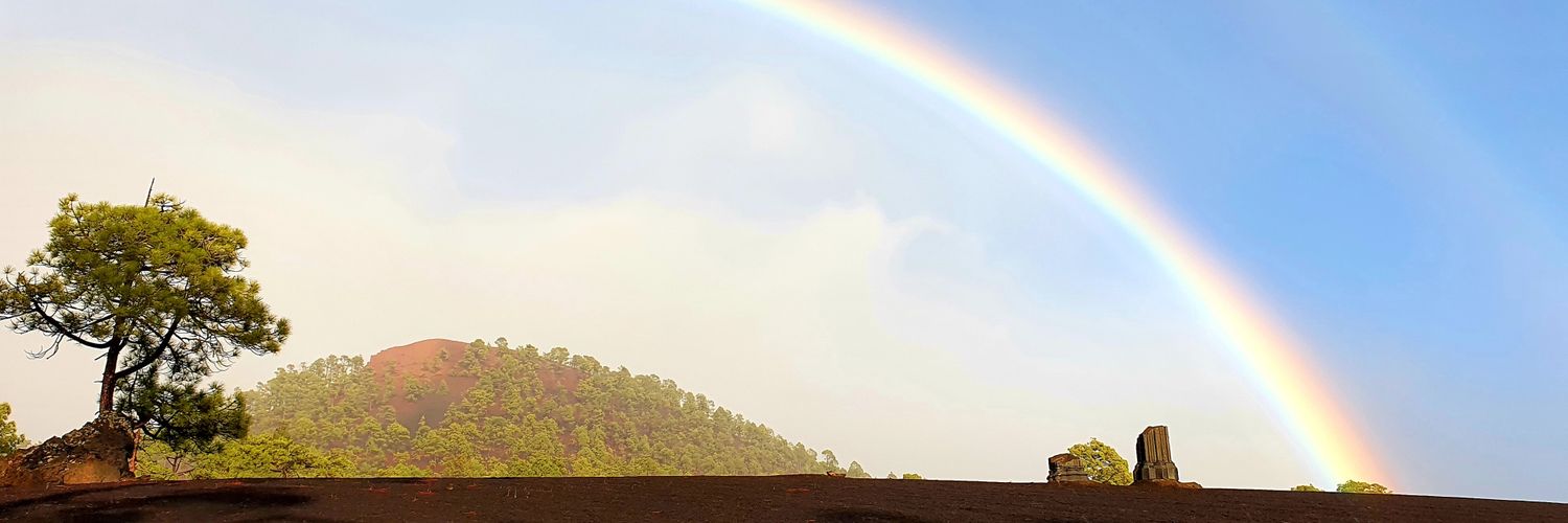 Dominique Bobeck banner