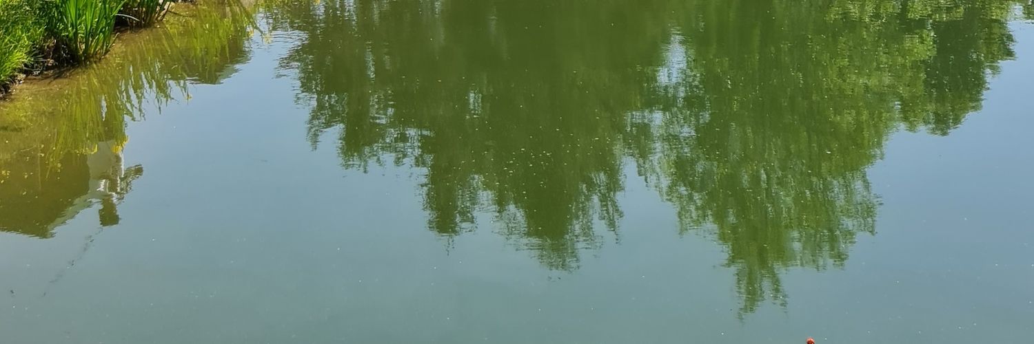 Tucad's profile banner image