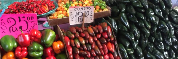 JonasWho Profile Banner