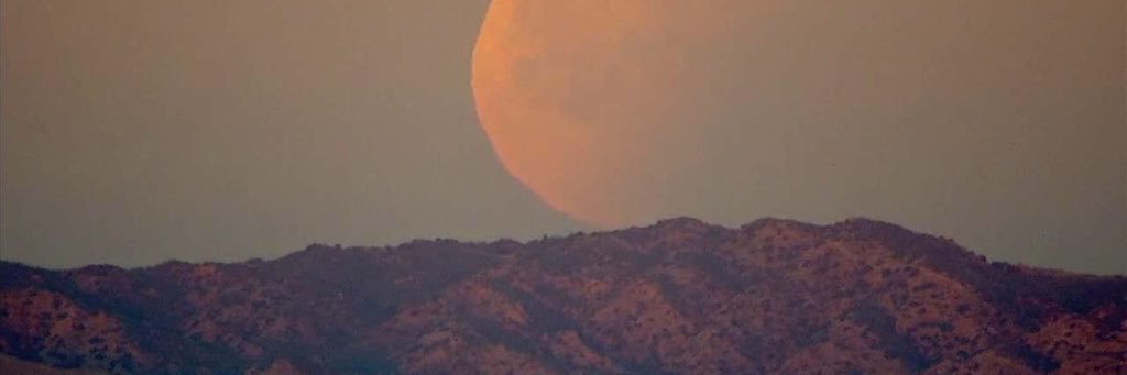 wff1022's profile banner image