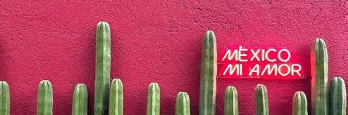 Rosa Salazar/Professional Drama Queen's banner