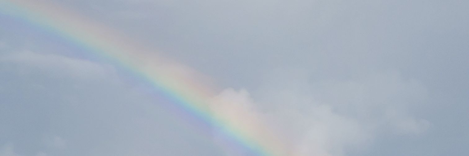 Elizabeth Franta banner