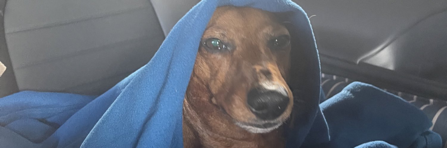 Troi Lake, M.D, M.S. banner