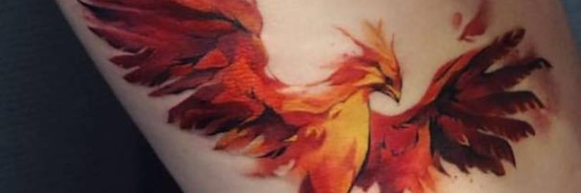 twentyfiveand80 banner