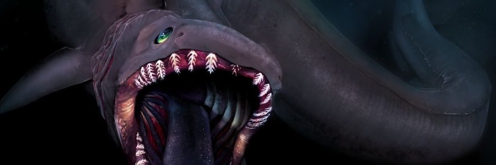 🤍 Εψιλον Ακτικα 🤍 banner