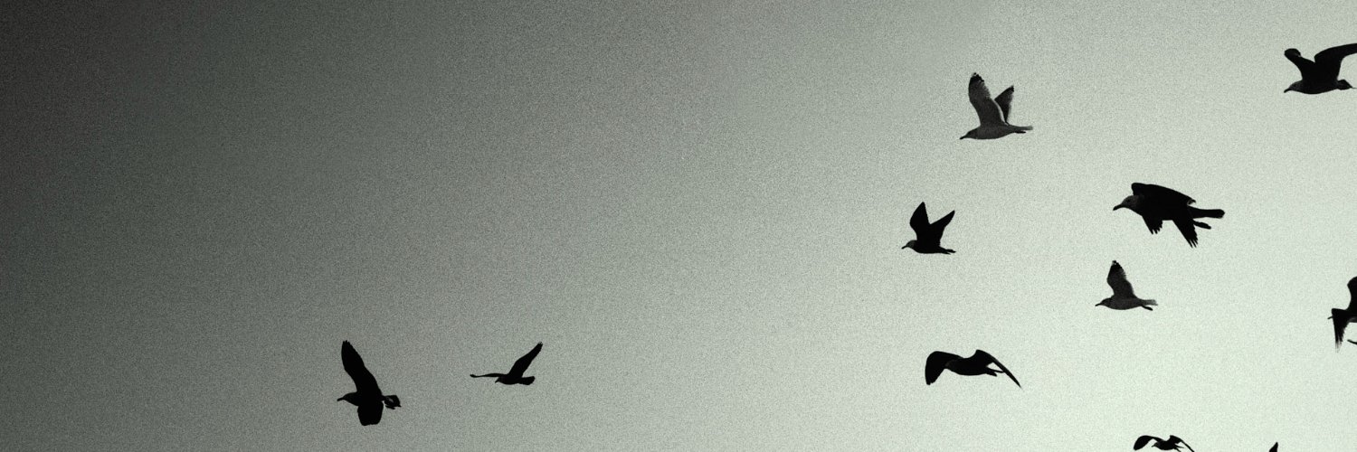 M.'s banner