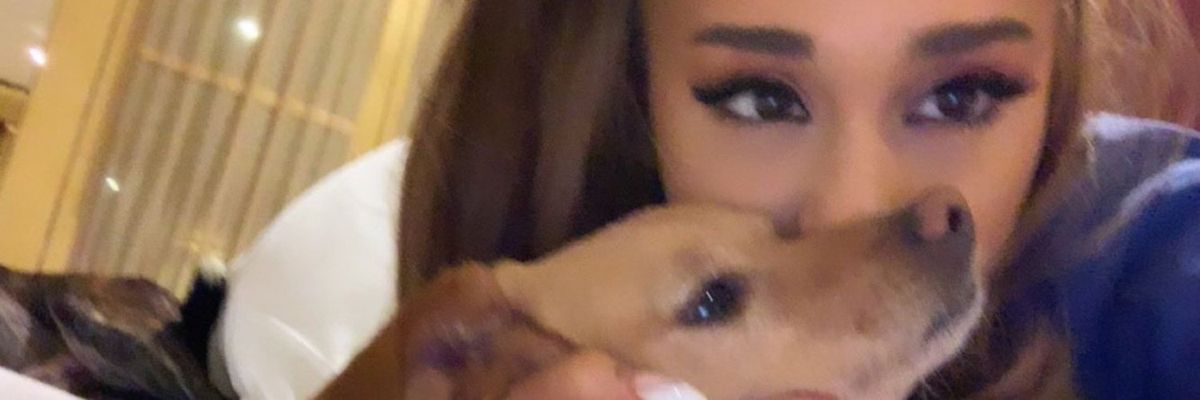 mel banner