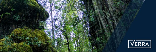 VerraStandards Profile Banner
