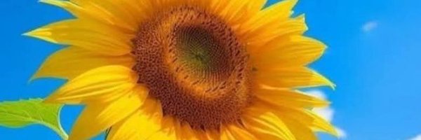 DeliaCarrasque3 Profile Banner