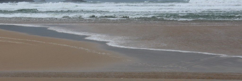 Dave B banner