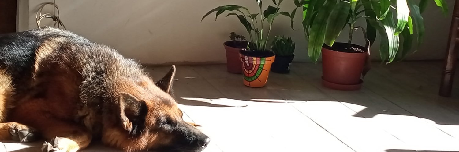 federico18_93's profile banner image