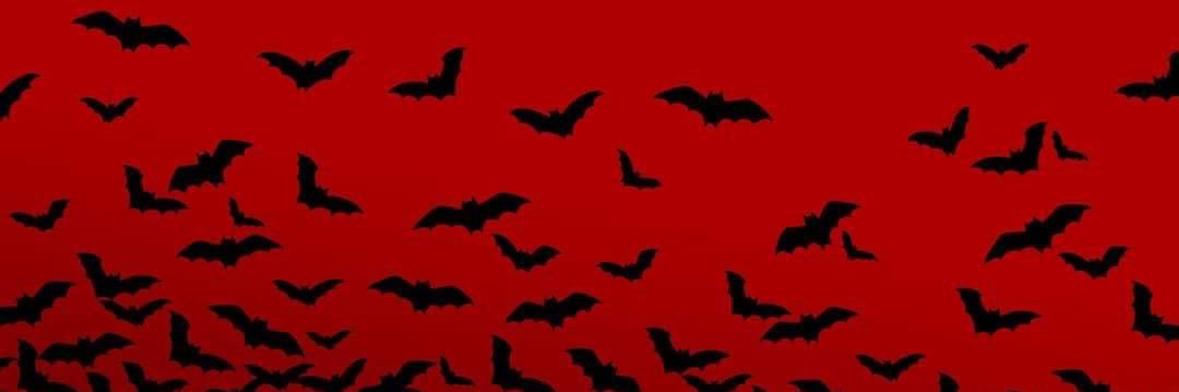 lilithacacia's profile banner image