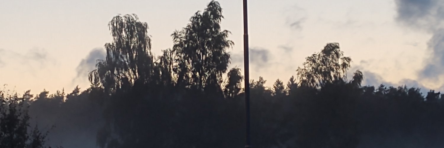 nyvinter's profile banner image