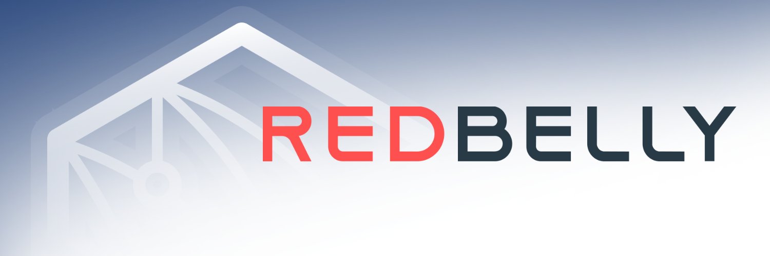 Redbelly Network's banner