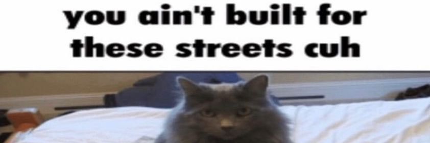 altforBELLIES's profile banner image