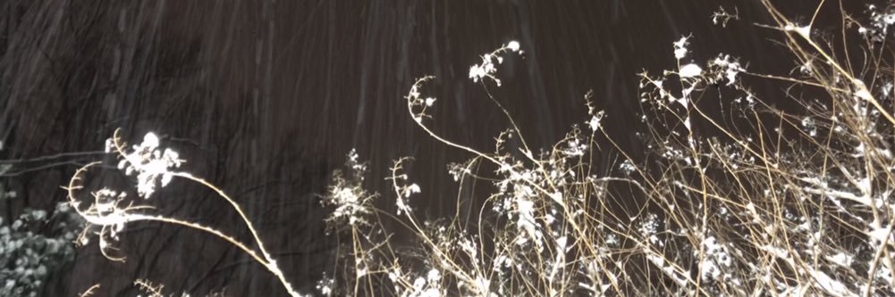 jennymock's profile banner image