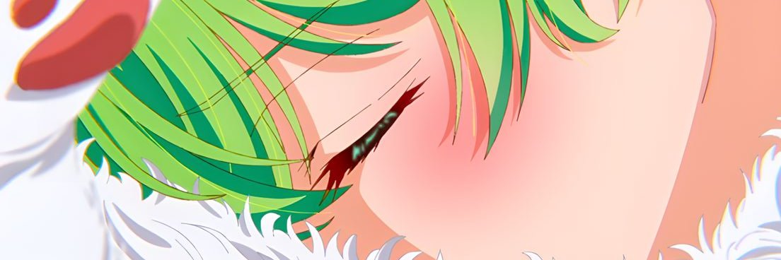 Nova 𓆰 𓆪 banner