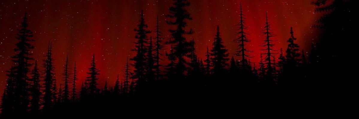 Savage🥀's banner