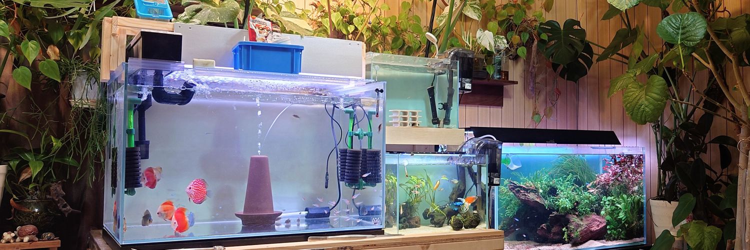 レモン作家氏の植物日記 banner