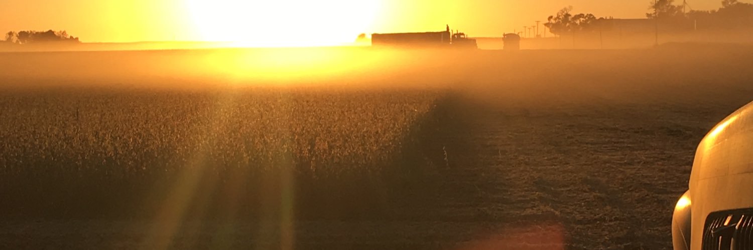 LadwigWyatt's profile banner image