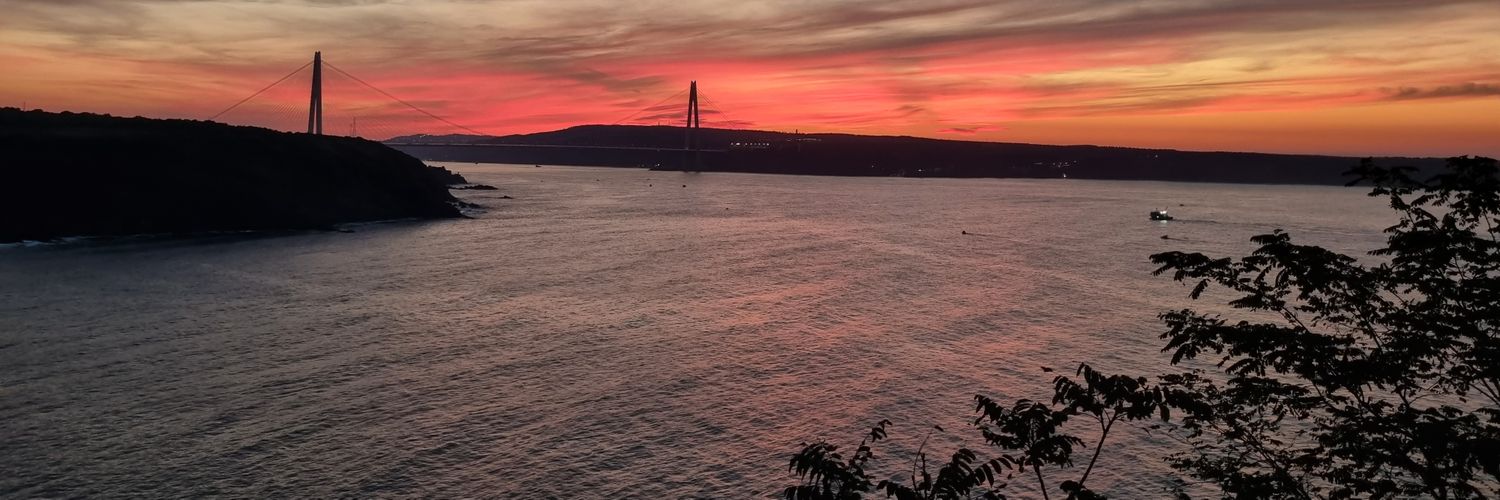memincevik's profile banner image