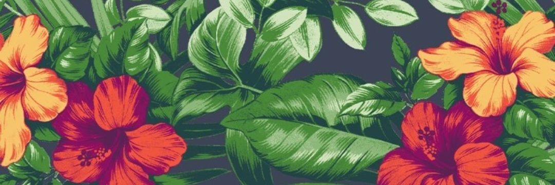 JuneBug1229's profile banner image