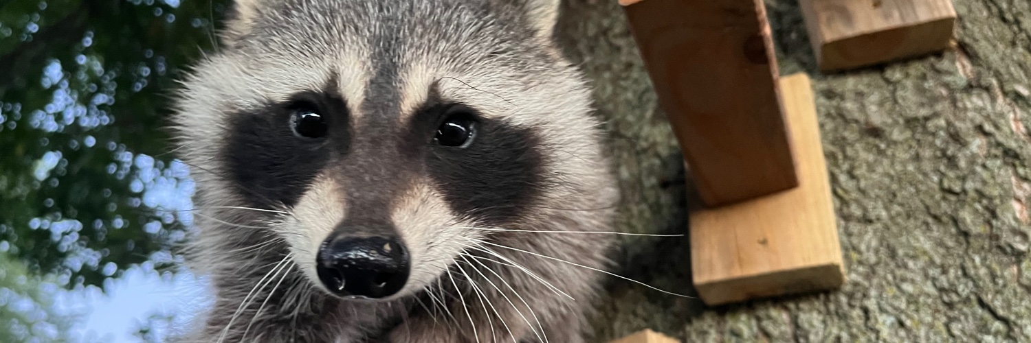 CoonTurd banner