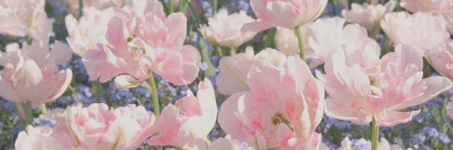 𝗆𝖺𝗒𝖺 banner