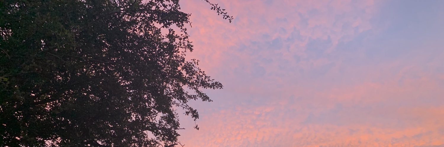 WWRaff's profile banner image