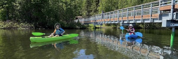 Lifetime Profile Banner