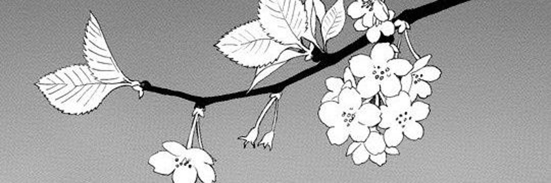 ⁣𝑁𝑒𝑝ℎ banner