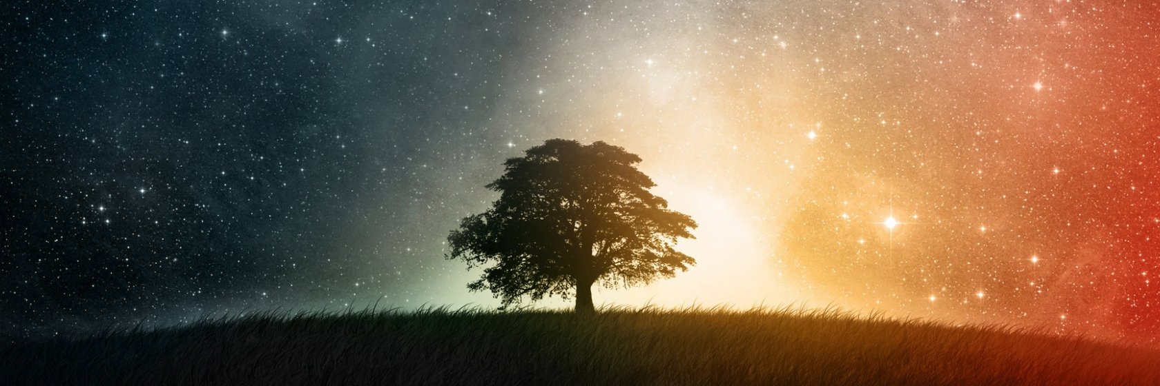 kokoinali's profile banner image
