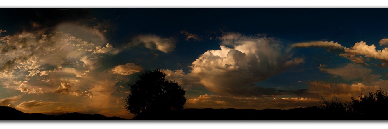bear4136's profile banner image