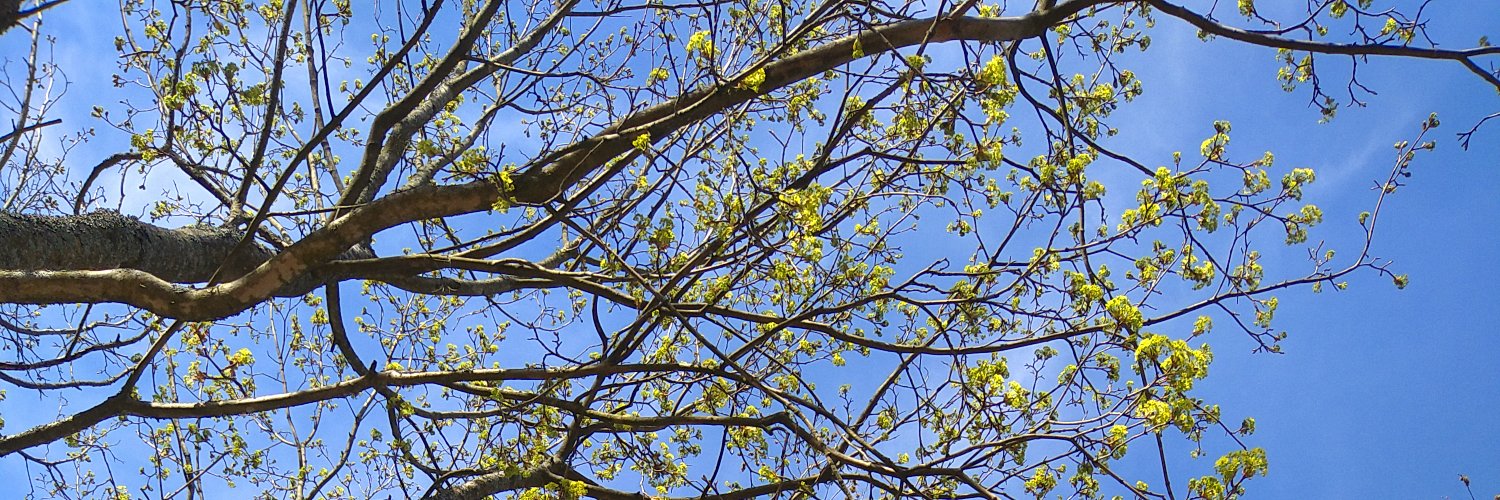 Johan Alfonsson banner