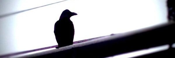 yorukawa_'s profile banner image