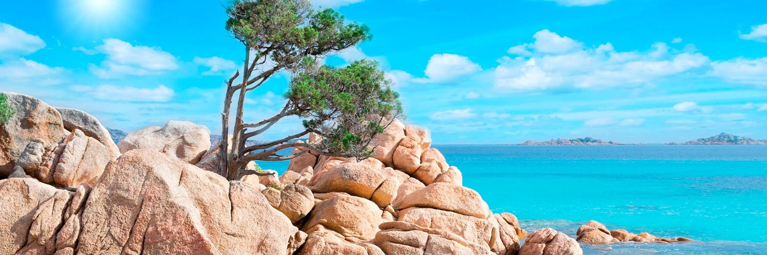 Michael Reinders banner