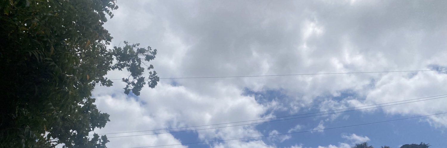 特森菲瑞普 banner