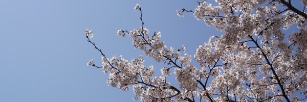 neuronchoi Profile Banner