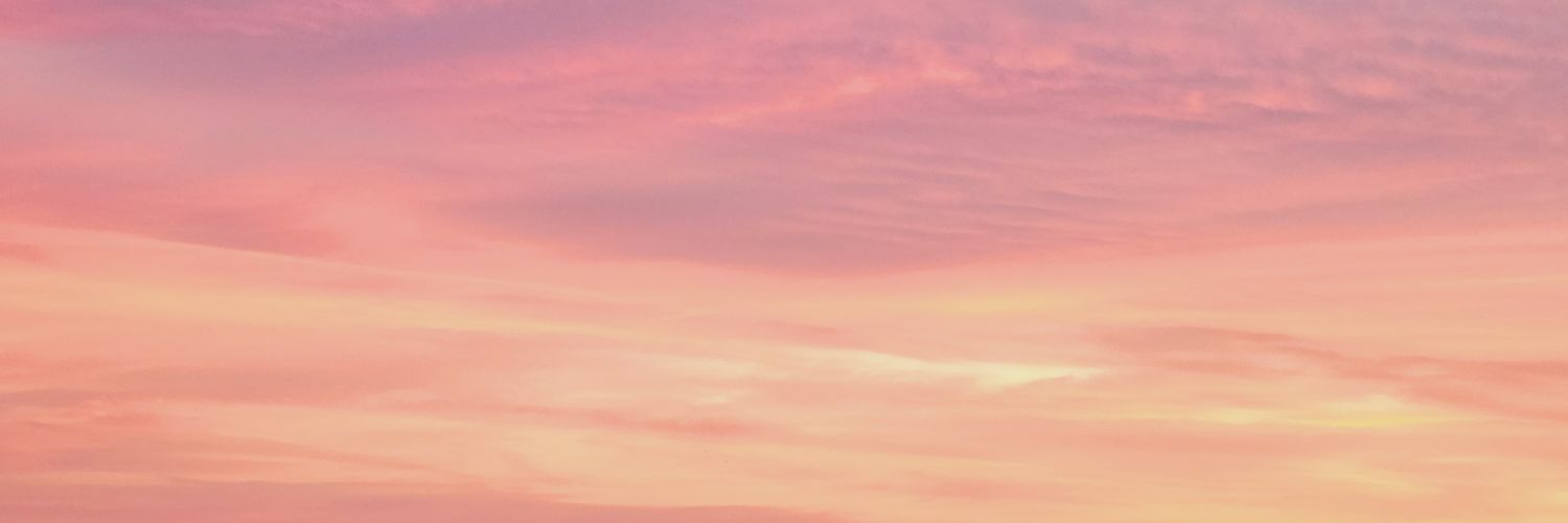 LESLIE_MAFER's profile banner image