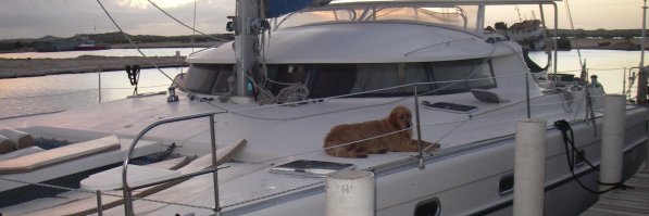 Stephanie Houser banner