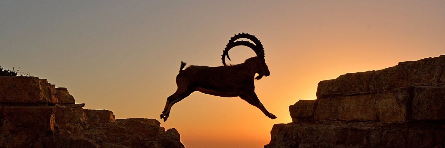 DesertEcoTours's profile banner image
