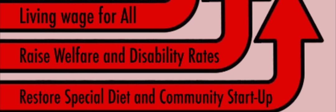 Disabled Ontarian banner