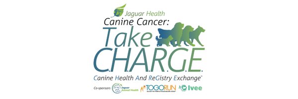 takechargereg Profile Banner