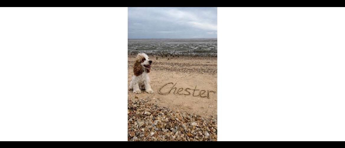 chels_patient's profile banner image