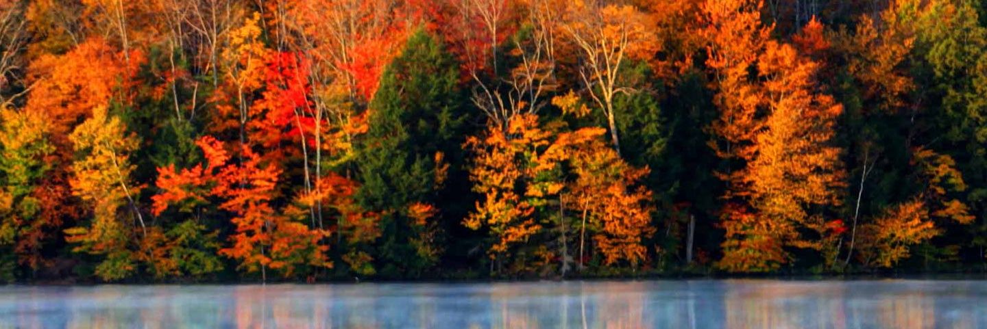 alizeaiter9's profile banner image