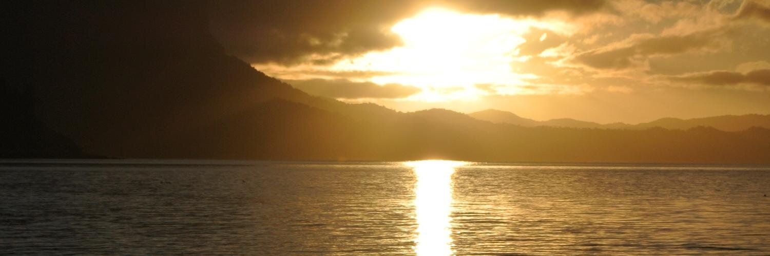 MichaelaMeier8's profile banner image