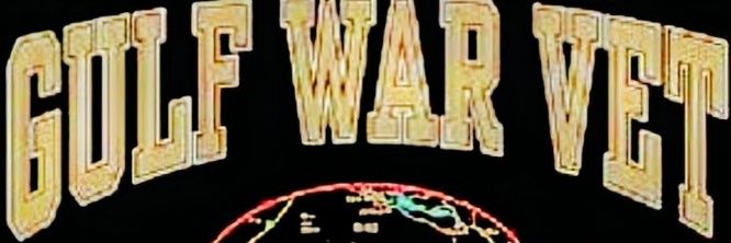 🇺🇲🚁🐝SaltySCPO🐝🚁🇺🇲's banner